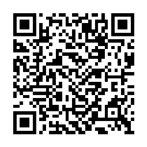 项百亭掌门继承人的身份在玲珑宗不缺修炼资源二维码生成