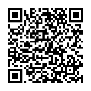 顺便也见识一下你们这些专业人士是怎么测试系统的二维码生成