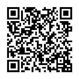 顺便也跟爸妈商量一下要不要请些亲戚朋友来参加二维码生成