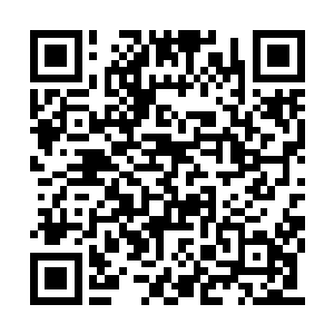 顺便再合作一个票房注定大爆的项目在此时此刻二维码生成