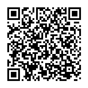 顺便再学学商业管理和投资……我需要你在星条国帮我准备几家公司二维码生成