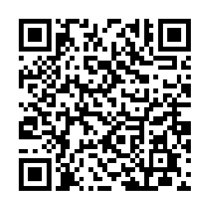 顺便能阻止一下五色龙们开启噩梦之境也是很好的二维码生成