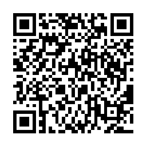 顺便还想到接近凌霄城的五行滋神果生长所在再看看二维码生成