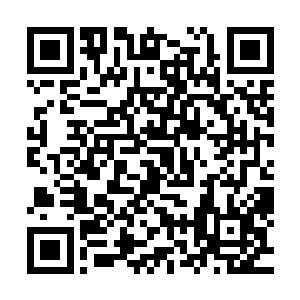 顺便这个统治系统运行这么多年产生的诸多沉冗也能一扫而空二维码生成