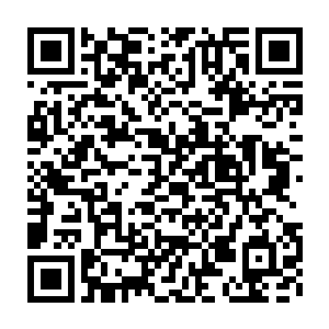 顺便问问她关于蛋族驾驶b级及以上机甲的要求出现事故的紧急救援方式二维码生成