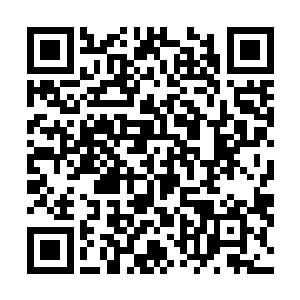 顺带接收熊猫国际近年来积累的部分手机非核心制造技术二维码生成