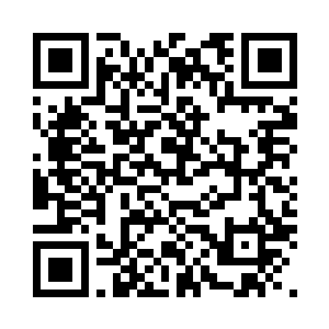 顺带着把律师起草的东西一齐带过去二维码生成