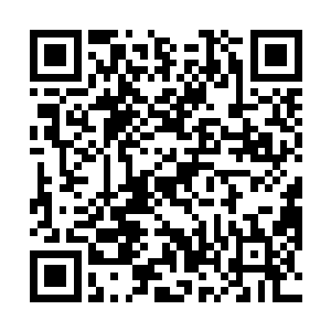 顺水推舟的用赵旉赵延年他们的名义将大军带回沙家坪二维码生成