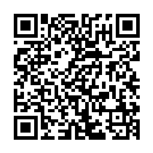 顺着心中的感觉终于在一个被树枝遮挡的地方发现了一个洞口二维码生成