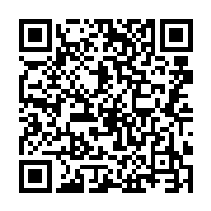 顺着水边偷偷的摸上边缘的小树林灌木丛里看了一番二维码生成