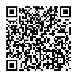 顺着茂密的林荫道到了另一个到处布满爬山虎的老式工业风格大楼前二维码生成