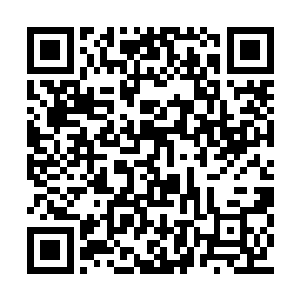 须不知京师的衙内在我家哥哥手上吃过多大鸟亏二维码生成