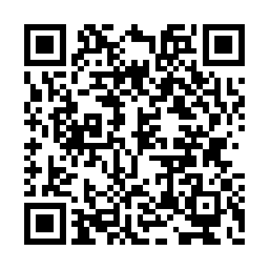 须伦与布兰都会油然而生一种荒蛮但宁和的感觉二维码生成