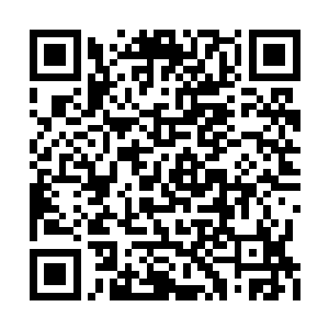 须弥海的人族修士始终无法把海族逼回深渊海域二维码生成