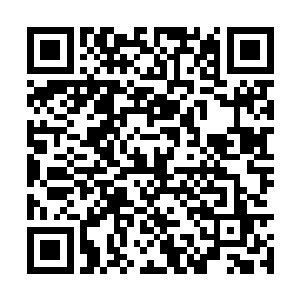 须得用龙神八打中的第三式龙行虎步才能抽身躲避二维码生成