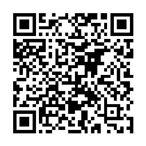 须知他的这位哥哥正是给雷打了还龙腾虎跃的活标本呐二维码生成
