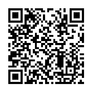 须知灵犀仙法的力量即便是神皇境大能都无法克制二维码生成