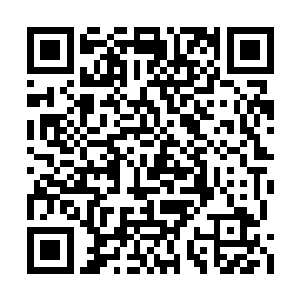 须知被炼制成僵尸后修为便自动下降了一个境界二维码生成