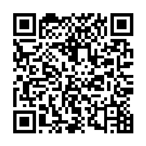 顽强的小草就这样在不断的被破坏之中又顽强的生存了下去二维码生成