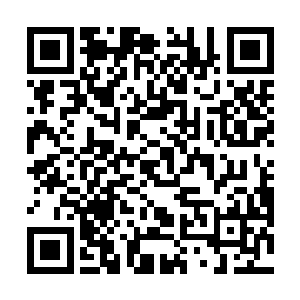 顾不得考虑为何这一会儿妖兽会层出不穷的挨个出现了二维码生成