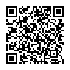 顾云和林秀兰一进家门就看到顾平安坐在沙发上二维码生成