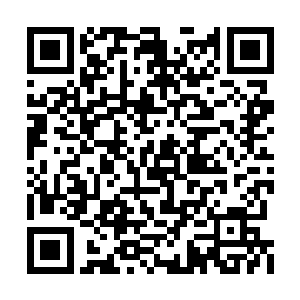 顾倩琳三人都知道能跟夏云杰学医是他们的幸运二维码生成