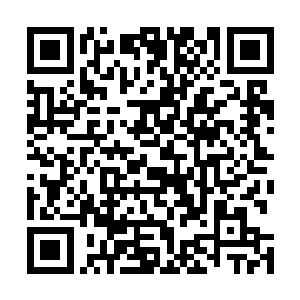 顾倩琳又哪里不明白玄婴期玄仙与金仙之间的差距有多大二维码生成