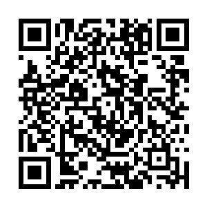 顾倾欢立刻就像做错事的小孩子一样安静地低下头二维码生成