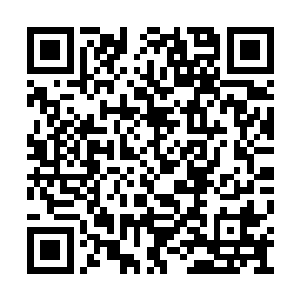 顾基从大师傅手里接过装着馒头和咸菜丝的饭盒二维码生成