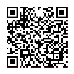 顾夜歌除了看过洛家的男人能天然地长成这样之外二维码生成