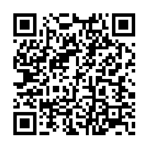 顾大娘子许久没有感受到来自于亲人的亲心爱护二维码生成