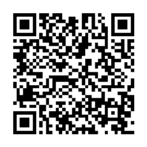 顾家和叶家四大家族突然将弟子送进太虚宗产生的影响二维码生成