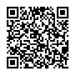 顾家和叶家率领着无数中小型家族来到了望仙城二维码生成