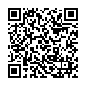 顾家航就把所有的臭豆腐给硬塞进了罗正轩的嘴巴二维码生成