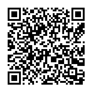 顾平每个月都会带着他军营里的兄弟来我的院子里帮我做一些粗重的活二维码生成