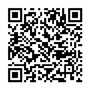 顾景看他这样乖巧的样子忍不住伸手摸了摸他的耳垂二维码生成
