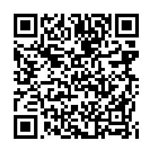 顾清苑看着下面跪着的那几个如花似玉得的女子二维码生成