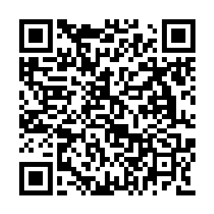 顾老夫人对于顾长远第一时间到这里跟自己说好二维码生成