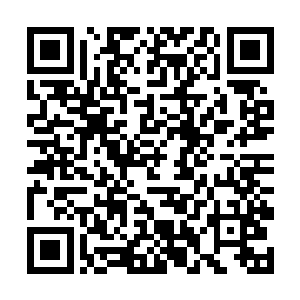 顾苒是那种喜欢争强好胜同时身材异常火爆的大美女二维码生成