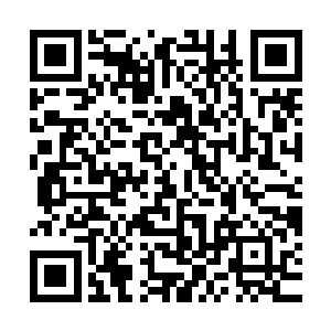 顾苒的身手即使是他这种经过专业训练的老手都是看得眼睛一亮二维码生成