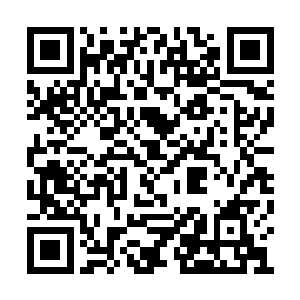 顾苒觉得最可行的办法还是使用不同的信息材料二维码生成