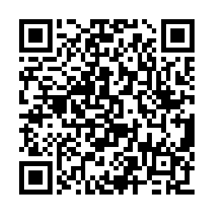 顾锦朝又叫了和王妈妈一起管灶的万石媳妇进来二维码生成