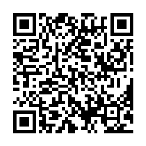 顿住了脚步抬眼望向在那三条庞然大物中间穿梭的人影二维码生成