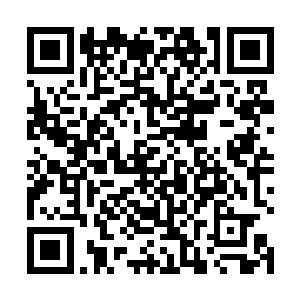 顿时一众弑血盟的强者一个个也是满脸惊骇的望着虚空二维码生成