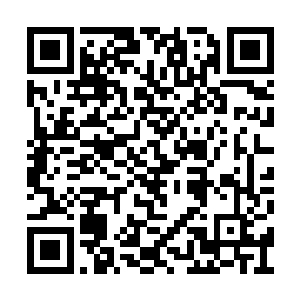 顿时一套北斗七星拳直接轰在了前面几人的胸口二维码生成