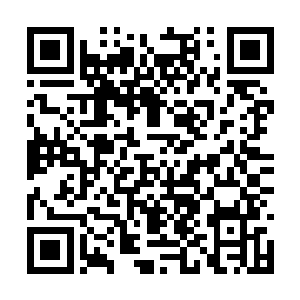 顿时一手的血……他眼中的愤怒更是如火焰般蹿起二维码生成