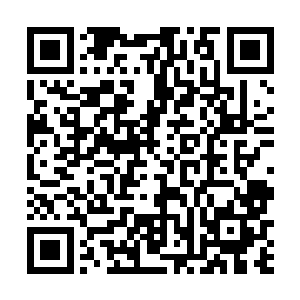 顿时一股可怕的力量从棍子传到了他们抓着棍子的手上二维码生成