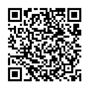 顿时一股无比强大的力量就铺天盖地的朝柳逸尘涌了过来二维码生成
