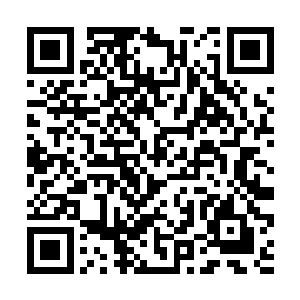 顿时一股沁人心脾的药香便传入了几个人的鼻子之中二维码生成