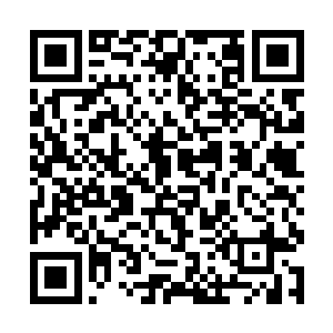 顿时一身雪白的灵兽羽出现在了我们的视线范围之内二维码生成